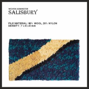 images/Ballroom_Carpet/Axminster/axminster_3.jpg
