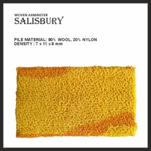 images/Ballroom_Carpet/Axminster/axminster_6.jpg