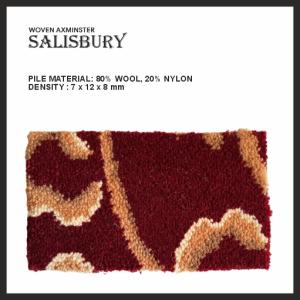 images/Ballroom_Carpet/Axminster/axminster_7.jpg
