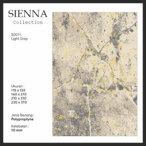 images/products/rugpermadani/SIENA/Karpet_Siena_1.jpg